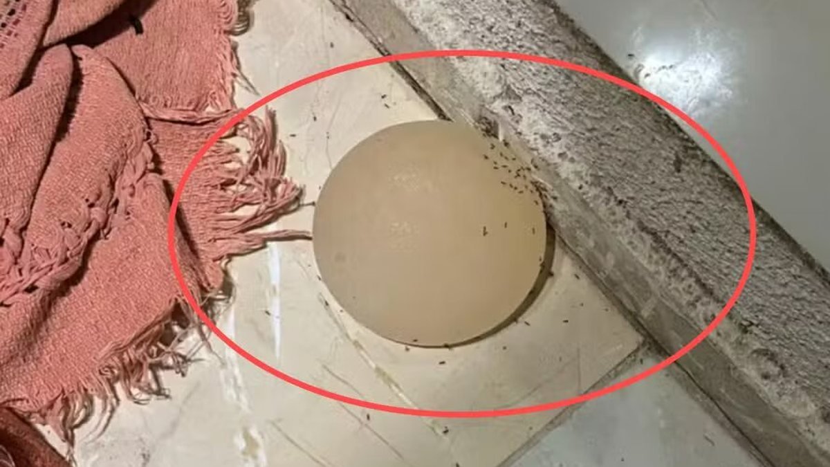 Homem é preso após arrancar prótese de silicone da mulher com faca de cozinha