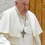 CNBB se manifesta sobre papa: ‘Traduziu suas intuições para a igreja’