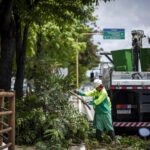 Prefeitura de Maceió orienta como solicitar poda e supressão de árvores