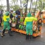 Trabalhador fica ferido após queda de equipamento durante poda em Maceió