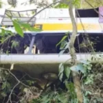 Remoção de ônibus na Serra da Barriga continua pelo terceiro dia