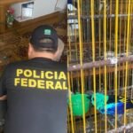 PF investiga desvio de aves de parque zoológico na Grande Maceió