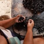 Maceió investe no fortalecimento das marisqueiras e na preservação da Lagoa Mundaú