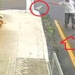 Idoso de 82 anos é solto após audiência de custódia por envenenar cães em Palmeira dos Índios