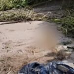 Ossada humana é encontrada em praia de São Miguel dos Milagres