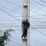 Homem fica gravemente ferido ao cair de poste em Arapiraca