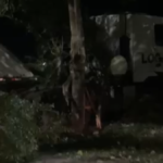 Caminhão desgovernado bate em árvores na BR-101 em São Miguel dos Campos; um ferido leve