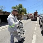 Pontal da Barra recebe 1.700 metros de iluminação decorativa para impulsionar comércio e turismo