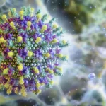Vírus Nipah: Países asiáticos retomam protocolos de pandemia em aeroportos