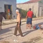 Cavalo montado por criança é atropelado e sofre fratura exposta em Arapiraca