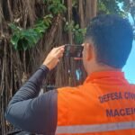 Defesa Civil inicia estudo técnico para avaliar saúde das árvores em praças de Maceió