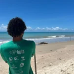 Elefante-marinho permanece há mais de 24 horas descansando em praia de Barra de Santo Antônio