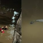 Suspeito morre afogado e dois são presos após fuga e acidente no Rio Mundaú, em União dos Palmares