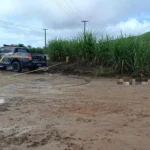 Corpo é encontrado esquartejado em estrada no Norte de Alagoas