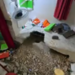 Túnel de fuga é descoberto em presídio de Maceió após denúncia