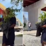 Mulher nega furto de planta e diz que recebeu muda de trabalhador em Maceió