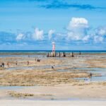 Duas praias de Alagoas estão entre as melhores da América do Sul em ranking do TripAdvisor