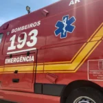 Jacaré é capturado sob carros e mobiliza Bombeiros em Arapiraca