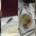 Estudantes denunciam presença de objetos estranhos em refeições do RU da Ufal