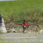 Carreta tomba na BR-101 em Joaquim Gomes e carga é saqueada