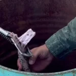 Jiboia é resgatada após causar susto em moradores de Marechal Deodoro