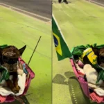 Cadelinha “Pepinha” chama atenção com look da Copa na orla de Maceió