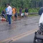 Colisão entre van e caminhão deixa 11 feridos na BR-316, em Atalaia