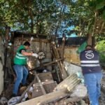 Guarda apreende drogas e derruba barracos usados por criminosos após troca de tiros no Vergel