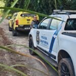 Ossada humana é encontrada em área de mata às margens da AL-105, em Coruripe