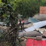Estrutura de pocilga é demolida durante fiscalização no bairro São Jorge, em Maceió