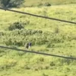 Dois homens são presos suspeitos de crimes durante ação policial em Santa Luzia do Norte