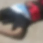 Homem é morto com golpe de foice durante discussão por dívida de R$ 2,2 mil em Santana do Mundaú