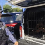 Homem suspeito de furtos é preso com mandado por tráfico de drogas no Jacintinho, em Maceió