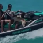 Cachorro viraliza ao nadar em alto-mar na Praia de Jatiúca, em Maceió