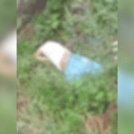 Homem é encontrado morto a tiros em área de vegetação no Benedito Bentes