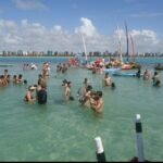 Maré baixa favorece passeios às piscinas naturais em Alagoas durante feriadão